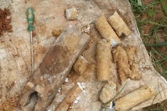 Soil Test